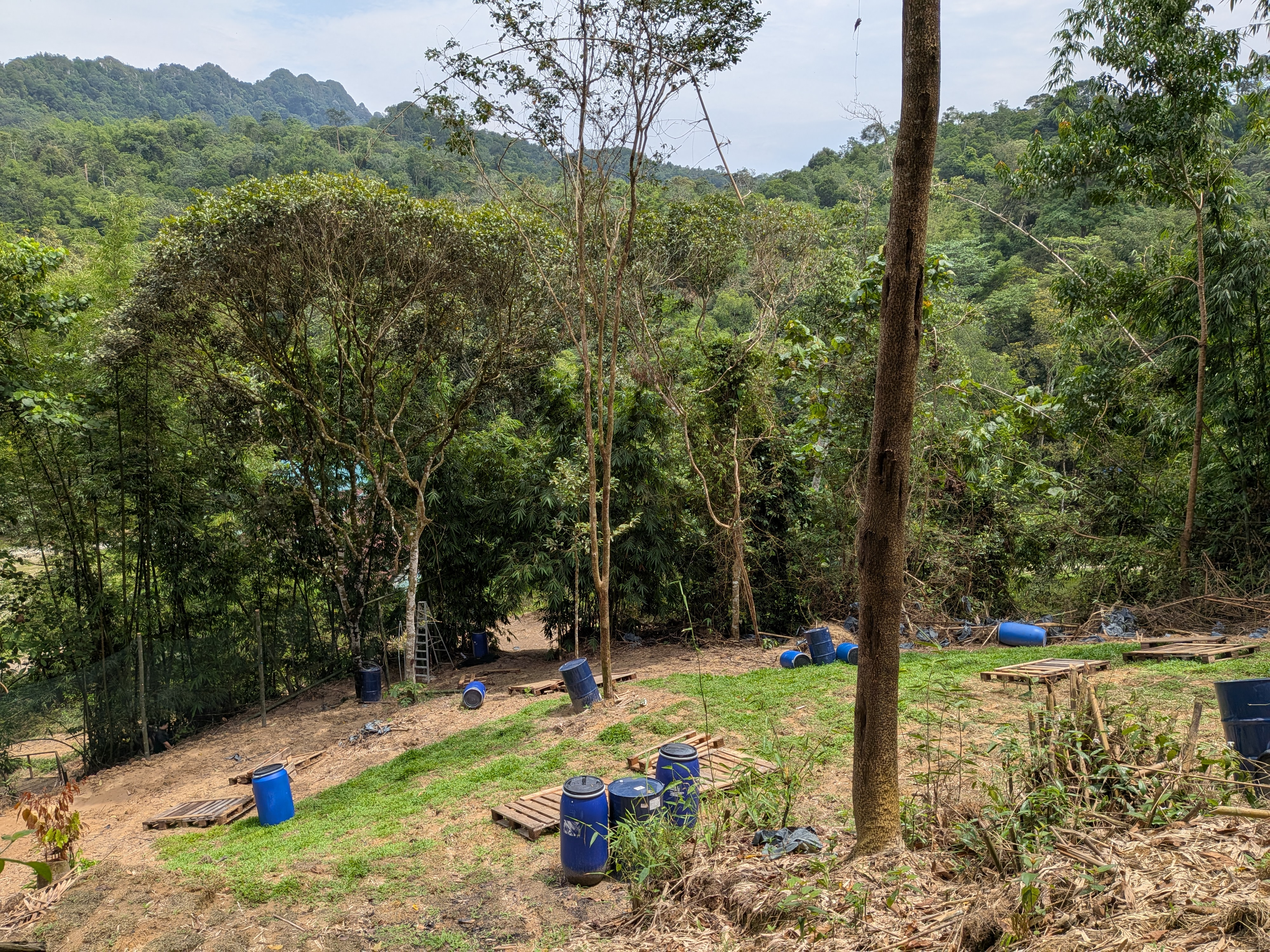 Medan Hutan - image 1